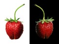 Strawberry pair