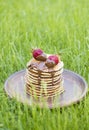 Strawberry pancakes for picnic on the grass vertical