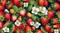 Strawberry pattern. Illustration of ripe 3d strawberries. Fruit background.