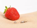 Strawberry Piercing Royalty Free Stock Photo