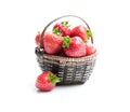 Strawberry plant with berries in small basket isolated on white Royalty Free Stock Photo