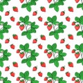 Strawberry - plant, flower and berries. Seamless pattern, red and green. Vector background, hand drawn sketch Royalty Free Stock Photo