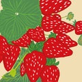 Strawberry plant Fruits