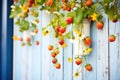 strawberry plants bearing fruit in a vertical hydroponic wall