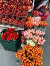 Strawberry, pomegranate and flowers. Royalty Free Stock Photo