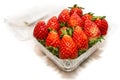 Strawberry Punnet