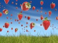 Strawberry rain Royalty Free Stock Photo
