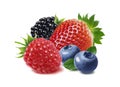 Strawberry, raspberry, blackberry and blueberry isolated Royalty Free Stock Photo