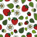 Strawberry flowers and leaves, unfit colored, with black outlines vector illustration Royalty Free Stock Photo