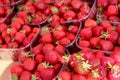 Strawberry red and fresh for sale Royalty Free Stock Photo