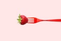 Strawberry on red plastic fork against pastel pink background. Royalty Free Stock Photo