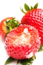 Strawberry Royalty Free Stock Photo