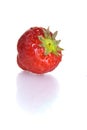 Strawberry Royalty Free Stock Photo