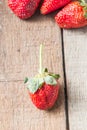 Strawberry Royalty Free Stock Photo