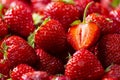 Strawberry ripe background, a lot of Fresh red berries, Close up the half of strawberries, Top view, High resolution product. Royalty Free Stock Photo