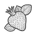 strawberry with royal crown sketch vector