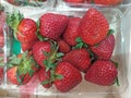 Strawberry for sale in plastic package