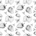 Strawberry seamless sketch pattern. Hand painted black berryes without background. Vector doodle of strawberry Royalty Free Stock Photo