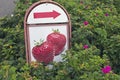 Strawberry sellers sign