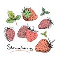 Strawberry set. Collection of isolated sketchy style strawberries. Colored doodle berries. Hand drawn vector