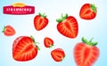 Strawberry set, detailed realistic ripe juicy halves of strawberry
