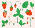 Strawberry set. Hand drawn fresh forest or garden berry collection. Whole juicy berries, bush with green leaves and flowers doodle Royalty Free Stock Photo