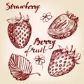 Strawberry set hand drawn vector illustration sketch