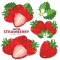 Strawberry Set, Vector.
