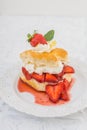 Strawberry Shortcake