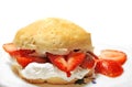 Strawberry Shortcake Royalty Free Stock Photo