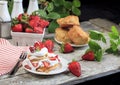 Strawberry Shortcake with Sprinkling Confectioners Sugar Royalty Free Stock Photo