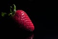 Strawberry single with drops Royalty Free Stock Photo