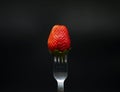 Strawberry on a fork with black background Royalty Free Stock Photo