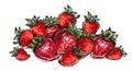 Strawberry sketch hand drawn vector illustration