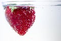 Strawberry Skinny Dipping in Fizzy Water Royalty Free Stock Photo