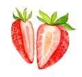 Strawberry, slices. Cut strawberries into pieces isolated on white background, watercolor Royalty Free Stock Photo