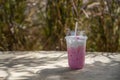 Strawberry smoothie or milkshake for healthy dessert . Iced pink fresh milk in plastic cup and straw on  nature background Royalty Free Stock Photo