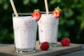 Strawberry smoothie in two glass glasses and fresh strawberries on a wooden table in the yard Royalty Free Stock Photo