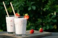 Strawberry smoothie in two glass glasses and fresh strawberries on a wooden table in the yard, copyspace Royalty Free Stock Photo