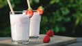 Strawberry smoothie in two glass glasses and fresh strawberries on a wooden table in the yard, copyspace Royalty Free Stock Photo