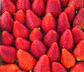 Strawberry solid square background Royalty Free Stock Photo
