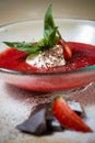 Strawberry soup with ice cream and mint on a plate Royalty Free Stock Photo