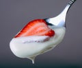 Strawberry in sour cream Royalty Free Stock Photo