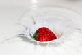 Strawberry splash Royalty Free Stock Photo