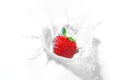 Strawberry splash in a bowl of milk Royalty Free Stock Photo