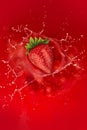 Strawberry splash into juice Royalty Free Stock Photo