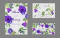 Butterfly pea flower on card Royalty Free Stock Photo