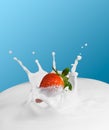 Strawberry splash in milk Royalty Free Stock Photo