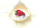 Strawberry splash in milk Royalty Free Stock Photo