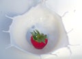 Strawberry splash milk cream yogurt white milkshake sweet red fruit Royalty Free Stock Photo